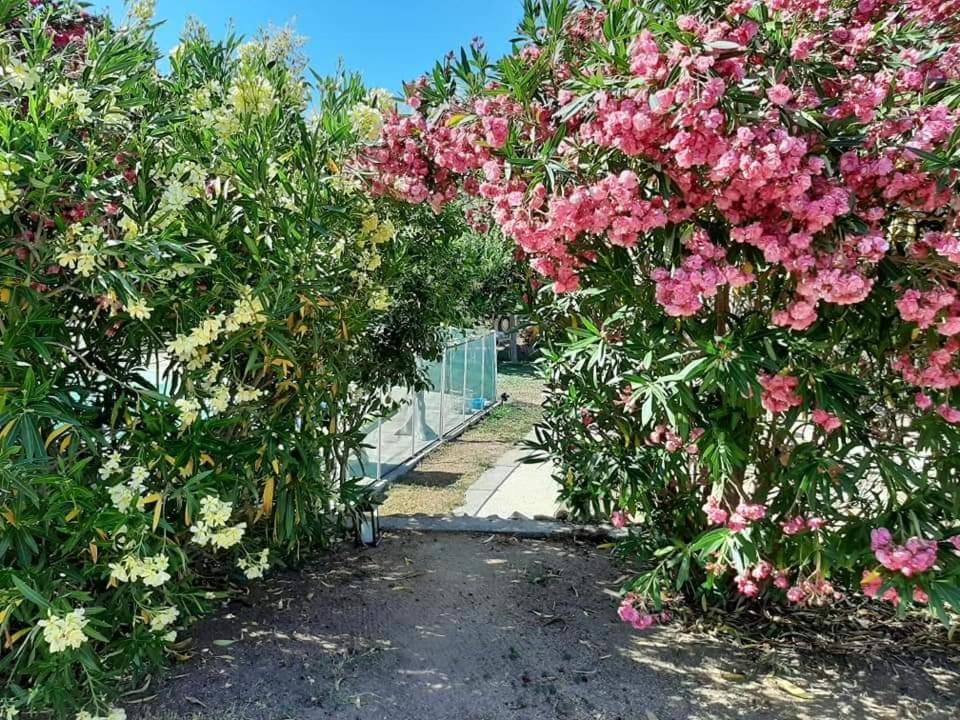 Orasi Sartene Gite Casa Fiurita Buitenkant foto