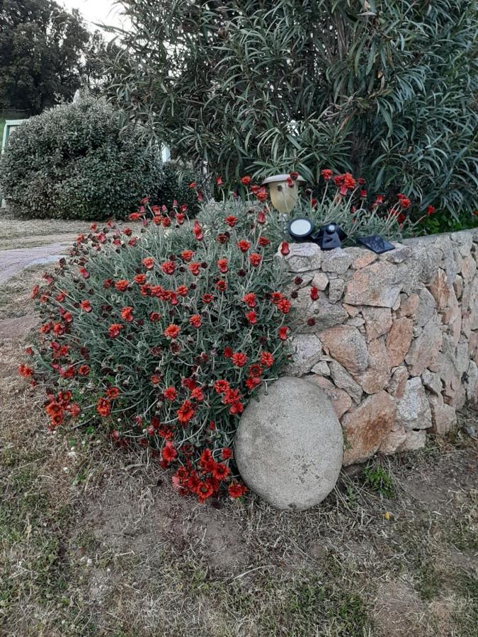 Orasi Sartene Gite Casa Fiurita Buitenkant foto