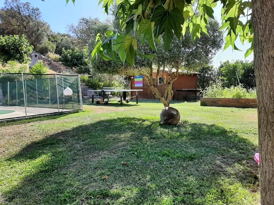 Orasi Sartene Gite Casa Fiurita Buitenkant foto